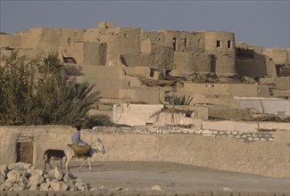 EGYPT, Western Desert, Farafra Oasis , Typical desert architecture with boy riding donkey carrying