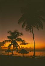 WEST INDIES, Tobago, Turtle Beach, Sunset at sea through coconut palm trees with thatched shelters