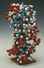 HEALTH, DNA, Molymod model of DNA