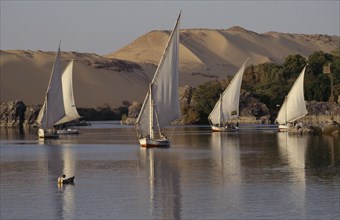 EGYPT, Upper Egypt, Aswan , Feluccas sailing on the Nile