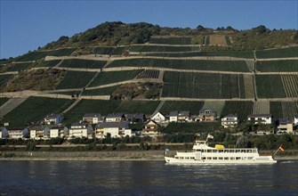 GERMANY, Rheinland-Pfalz, Rhine Gorge, Lorch.  Ferry on the River Rhine with waterside houses and