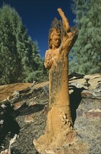 AUSTRALIA, Northern Territories, Alice Springs, William Ricketts wooden sculpture of nature