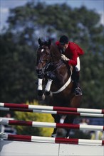 10038994 SPORT Equestrian Show Jumping German rider Jurgen Kraus competing in the 1994 Hickstead Derby  clearing parallel bars on bay horse.