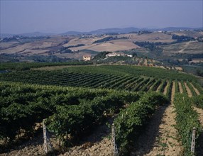 ITALY, Tuscany, View over the vineyards to the fields in the distance.