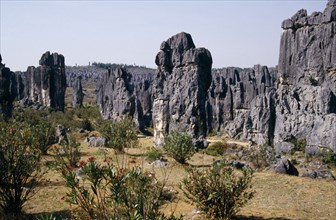 CHINA, Yunnan Province, Shilin, "The Stone Forest, near Kunming. Grey limestone rock pinnacles