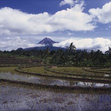 INDONESIA, Java, Mount Merapi, Volcano peak through clouds with rice paddies in foreground