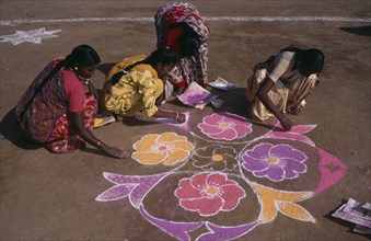 INDIA, Tamil Nadu, Pongal Festival.  Four day festival to mark the end of harvest.  Women painting
