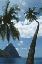 WEST INDIES, St Lucia, Soufriere, The Pitons with palm trees in the foreground.