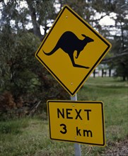 AUSTRALIA, General, Kangaroo warning sign. A black kangaroo on yellow background