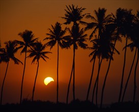 INDONESIA, BALI, Golden sunset and distant mountains seen through silhouetted palm trees