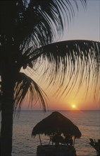 WEST INDIES, Jamaica, Negril, Ricks Cafe at sunset through coconut palm with tourists sitting under