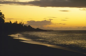 WEST INDIES, Tobago, Turtle Beach, Woman walking along the beach by the waters edge with yellow