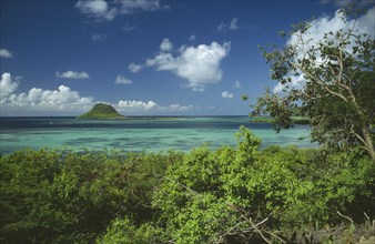 WEST INDIES, Grenadines, Union Island, Small island and coral reefs seen from above trees
