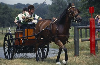 10034016 SPORT Equestrian Horses Horse driving trials at Sandringham  Norfolk  England.