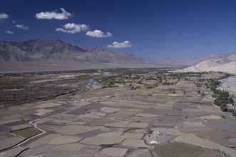 INDIA, Ladakh, Indus Valley, "General view over the valley with divided land, scattered trees and