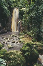 WEST INDIES, St.Lucia , Soufriere, Diamond Waterfalls falling into river bed lined with lush green