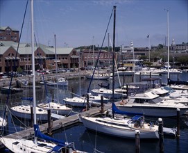 USA, Rhode Island, Newport, Marina and yachts moored at jetty and harbour buildings beyond