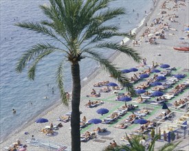 FRANCE, Provence Cote d’Azur, Alpes Maritime, "Nice Beach from above with a palm tree, sunbathers