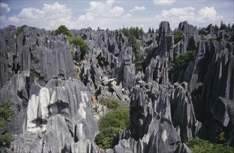CHINA, Yunnan, Stone Forest, View over the grey limestone pillars near Kunming