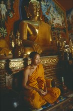 THAILAND, Chiang Mai, "Young monk praying beneath seated golden Buddha figures,"
