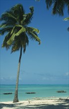 TANZANIA, Zanzibar Island, Jambiani Beach.  Empty beach with boats moored offshore and palm trees