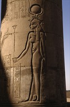 EGYPT, Komombo, Relief carving of the Goddess Hathor on column