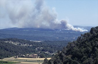 FRANCE, Provence Cote d’Azur, Luberon , Mass of smoke from a forest fire rising above green