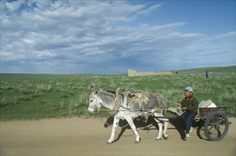 MONGOLIA, Transport, Man traveling on donkey and cart