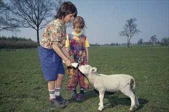 HOLLAND, Children, A young boy and girl feeding a lamb with a bottle in a field.