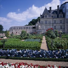 FRANCE, Indre Loire, Villandry, Chateau and gardens
