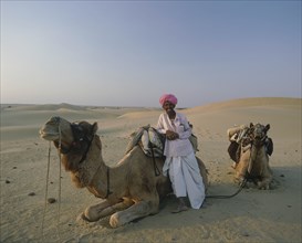 INDIA, Rajasthan, Jaisalmer, Two Thar Desert camels lying down in the sand  with a man wearing a