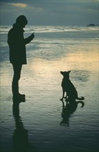 DOMESTIC ANIMALS, Dogs, With Owners, Man encouraging attentive dog to sit silhouetted on beach at