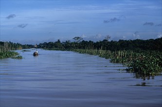 VIETNAM, South, Mekong Delta, Near Vinh Long - small boats travel on river between mangroves