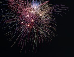 JAPAN, Fireworks, Hnabi fireworks designed to look like flowers