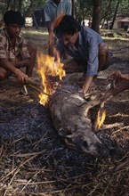 INDIA, Goa, Arambol, Christian men burning a Pig on an open fire.