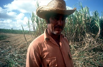 CUBA, Pinar Del Rio, Sugar worker wearing a straw hat standing in front of crops