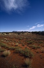 AUSTRALIA, Landscape, Desert landscape.
