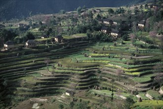 NEPAL, Kathmandu Valley, Agriculture, Rice terraces and scattered rural houses.