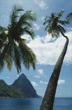 WEST INDIES, St Lucia, Soufriere, The Pitons seen from beneath coconut palm trees on the beach