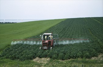 IRELAND, Arable, Farming, Spraying potato crop with pesticide