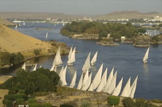 EGYPT,  , Aswan, Feluccas on River Nile