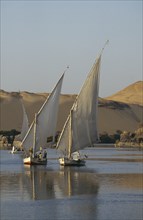 EGYPT, Aswan, Three feluccas on the River Nile carrying tourists
