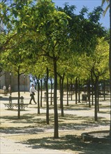SPAIN, Cadiz Province, Jerez de la Frontera, Trees in a town square with a man walking past near