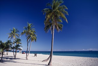 USA, Florida, Fort Lauderdale Beach, Sandy beach with palm trees and sunbathers