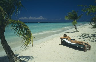 WEST INDIES, Jamaica, Negril, Woman sunbathing on lounger on beach near water and coconut palm