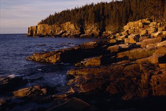 USA, Maine, Arcadia , National Park. Golden light shining on Otter Cliffs along rugged coastline