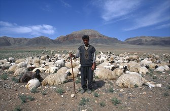 IRAN, Azarbayjan e Gharbi Prov, Shepherd with flock of sheep