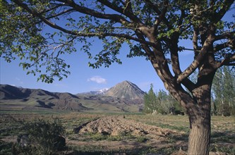 IRAN, Azarbayjan e Ghabi , Landscape seen through tree with mountain on the horizon