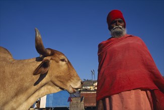 INDIA, Maharashtra, Nasik, Sadhu and cow