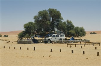 NAMIBIA, Namib Desert, Sesriem, Tourists camping under tree in the desert